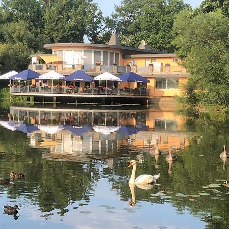 Pension Am See Торгау Экстерьер фото