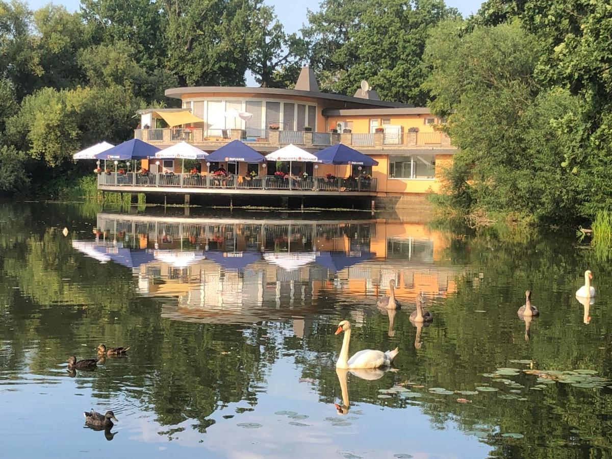 Pension Am See Торгау Экстерьер фото